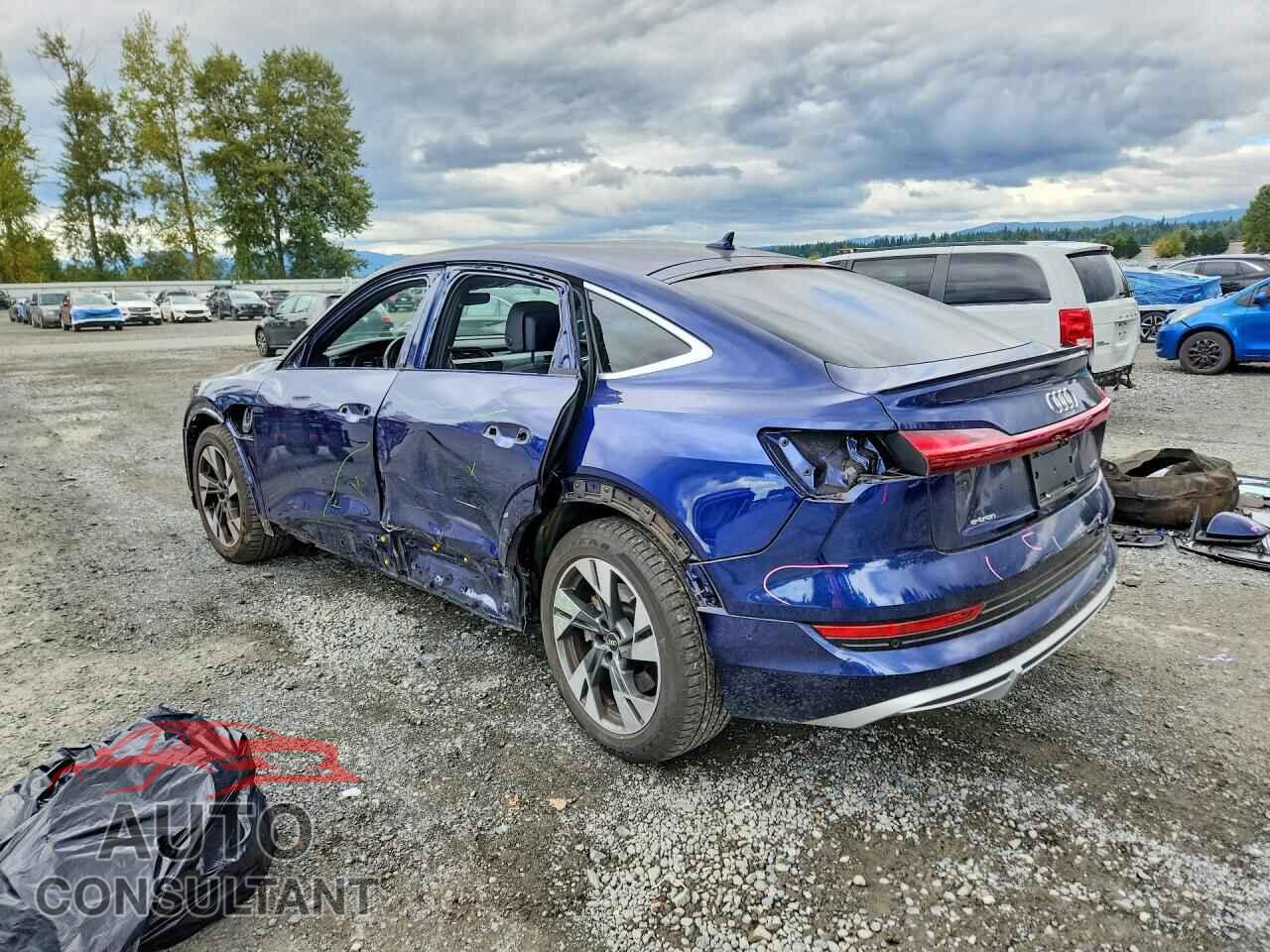 AUDI E-TRON 2023 - WA12AAGE2PB024287