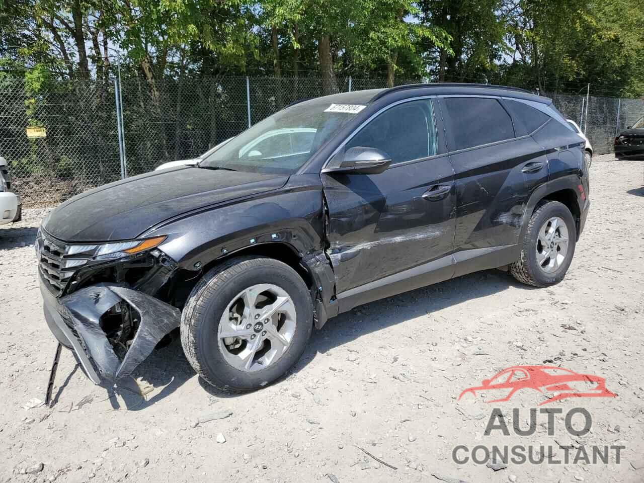 HYUNDAI TUCSON 2023 - 5NMJBCAEXPH240578