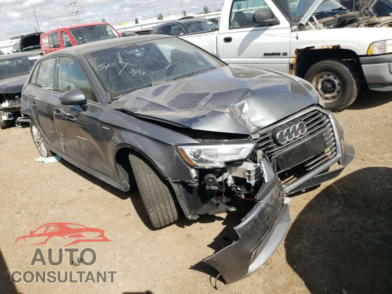 AUDI A3 2017 - WAUUPBFF0HA040098