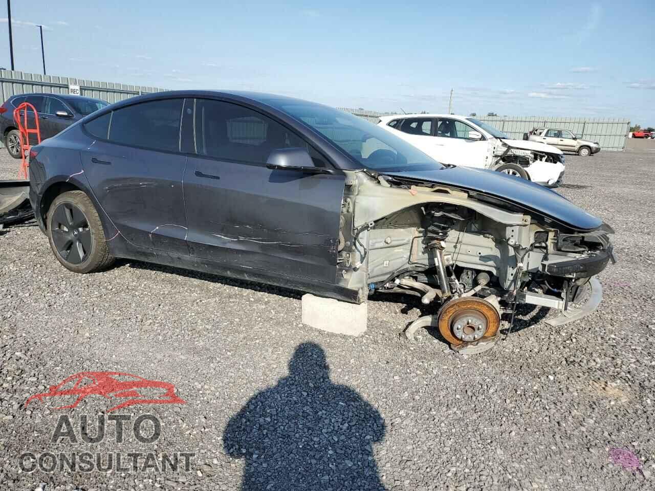 TESLA MODEL 3 2021 - 5YJ3E1EA5MF938525