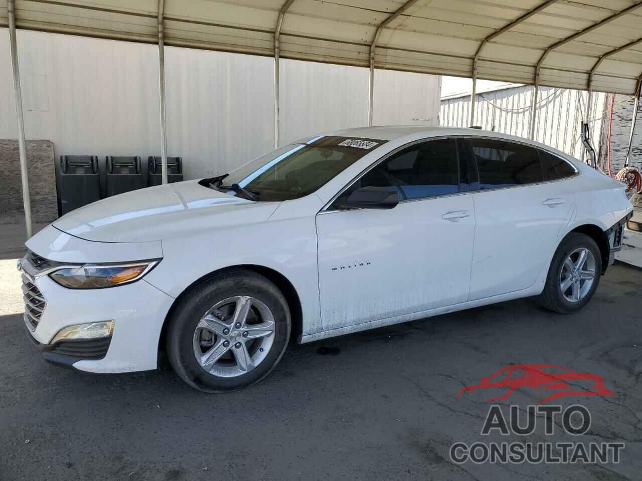 CHEVROLET MALIBU 2020 - 1G1ZB5STXLF064000