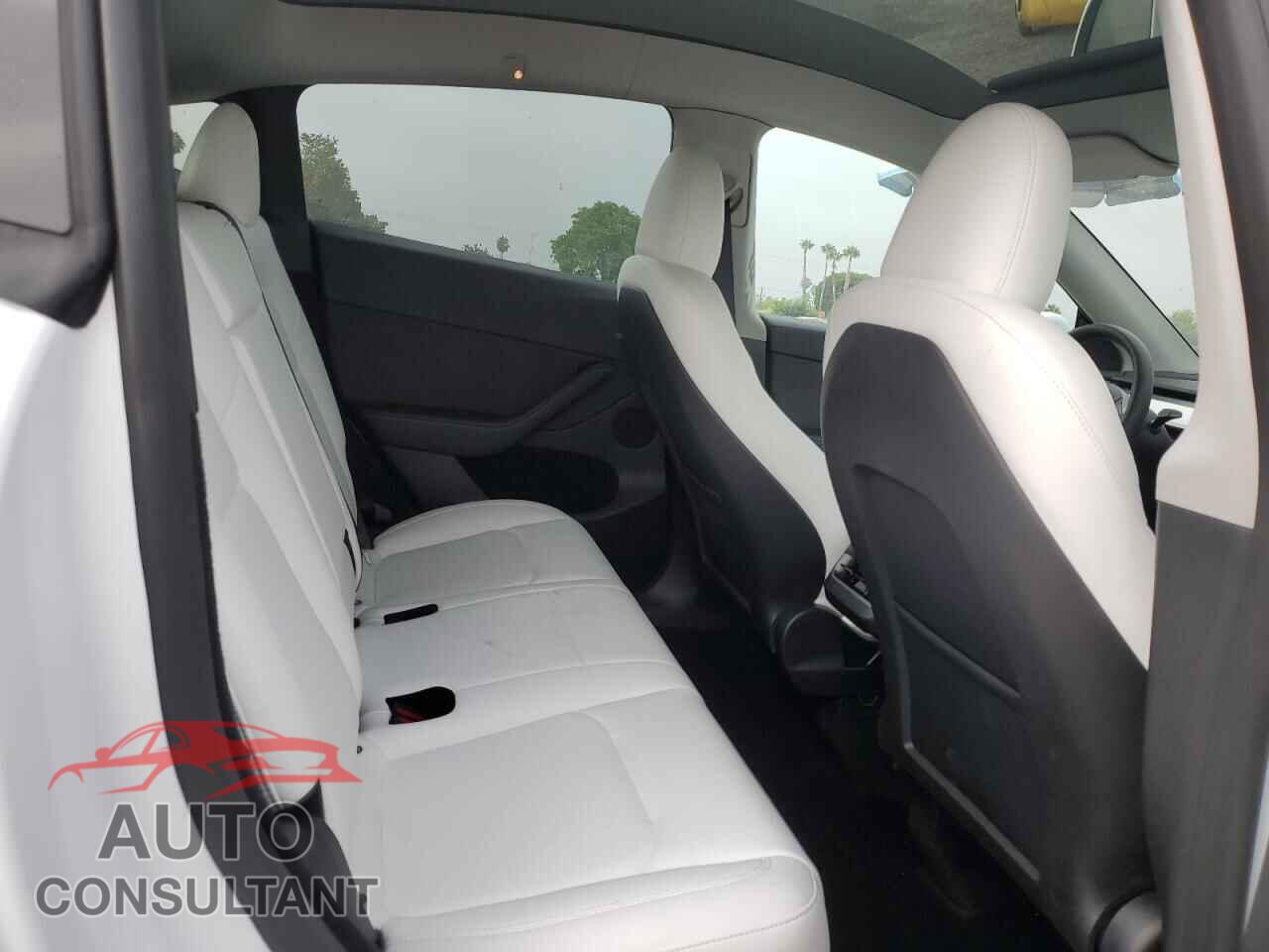 TESLA MODEL Y 2024 - 7SAYGDEE8RF165984