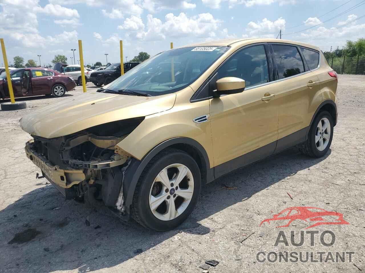 FORD ESCAPE 2014 - 1FMCU0GX1EUE08698