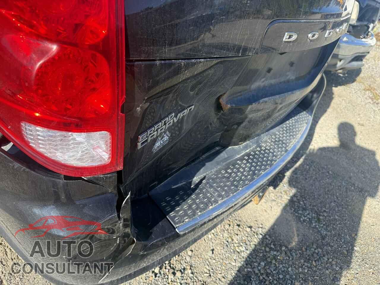 DODGE CARAVAN 2019 - 2C4RDGDG6KR709696