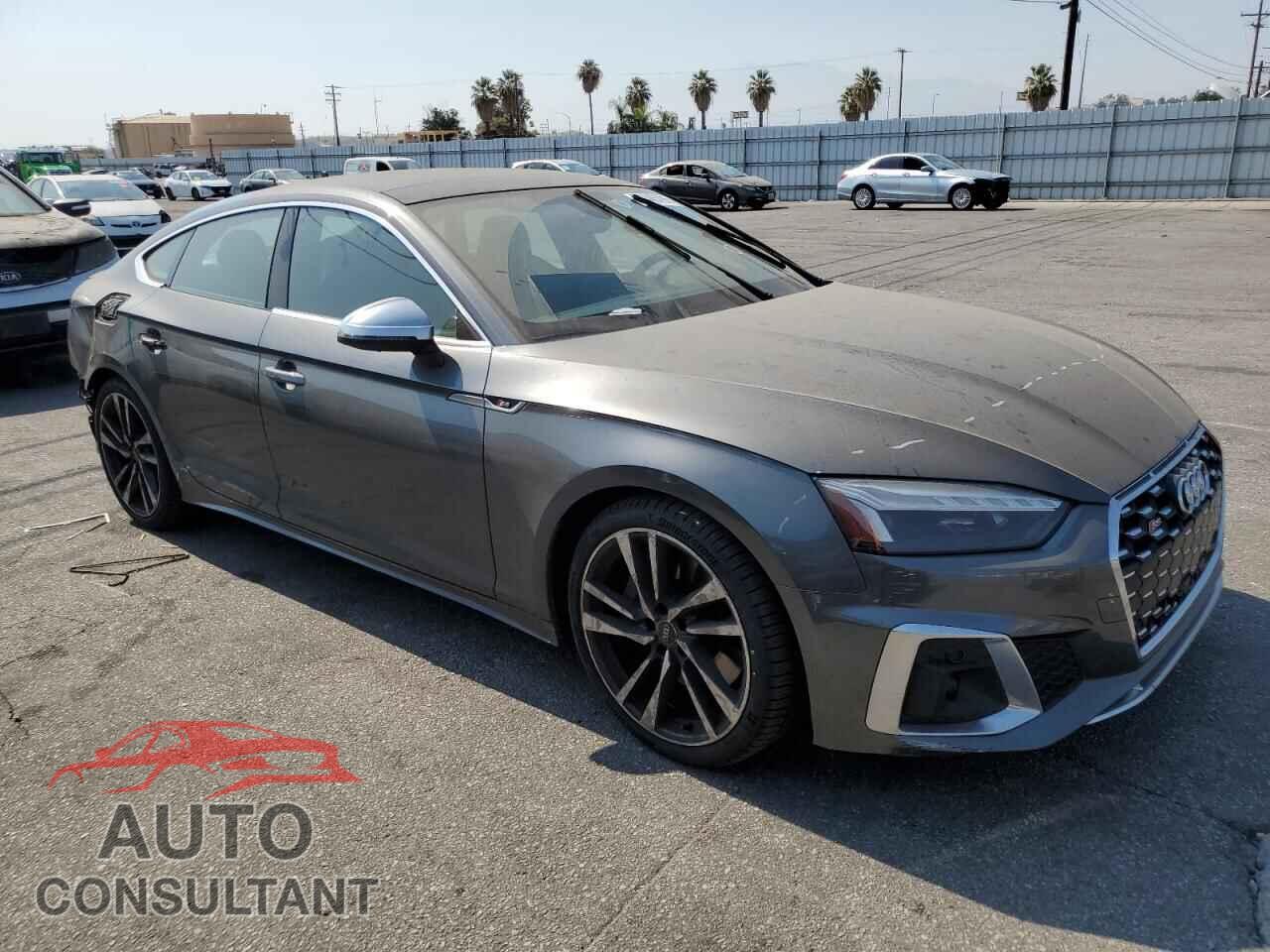 AUDI S5/RS5 2023 - WAUC4CF55PA010983