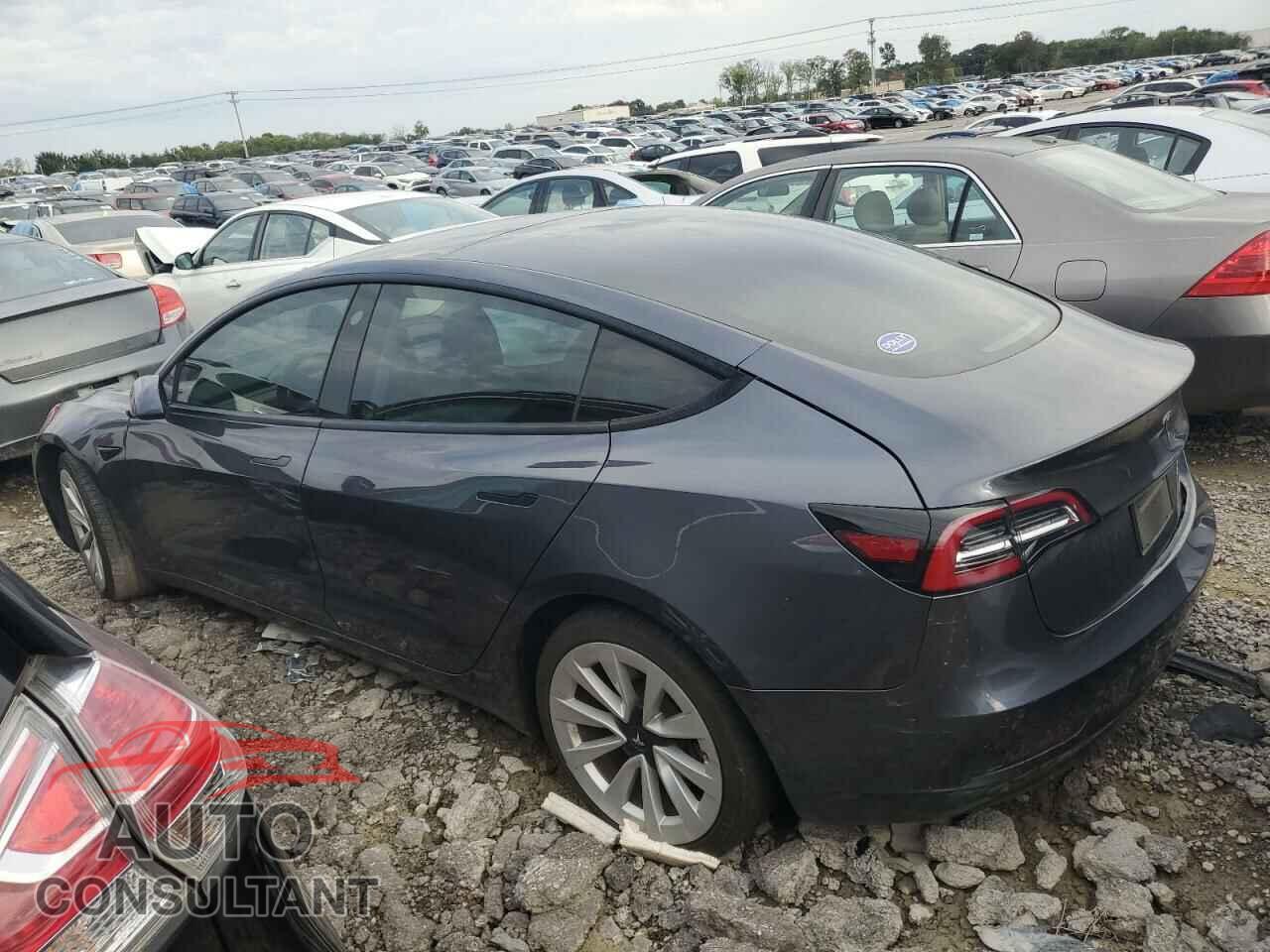 TESLA MODEL 3 2021 - 5YJ3E1EB2MF902669