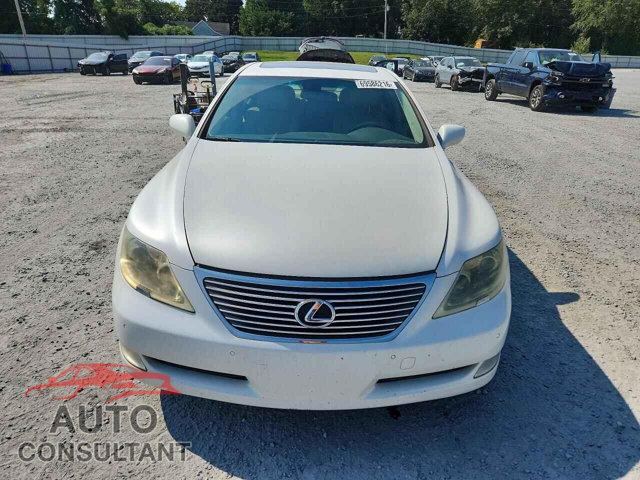 LEXUS LS460 2009 - JTHBL46F795087963