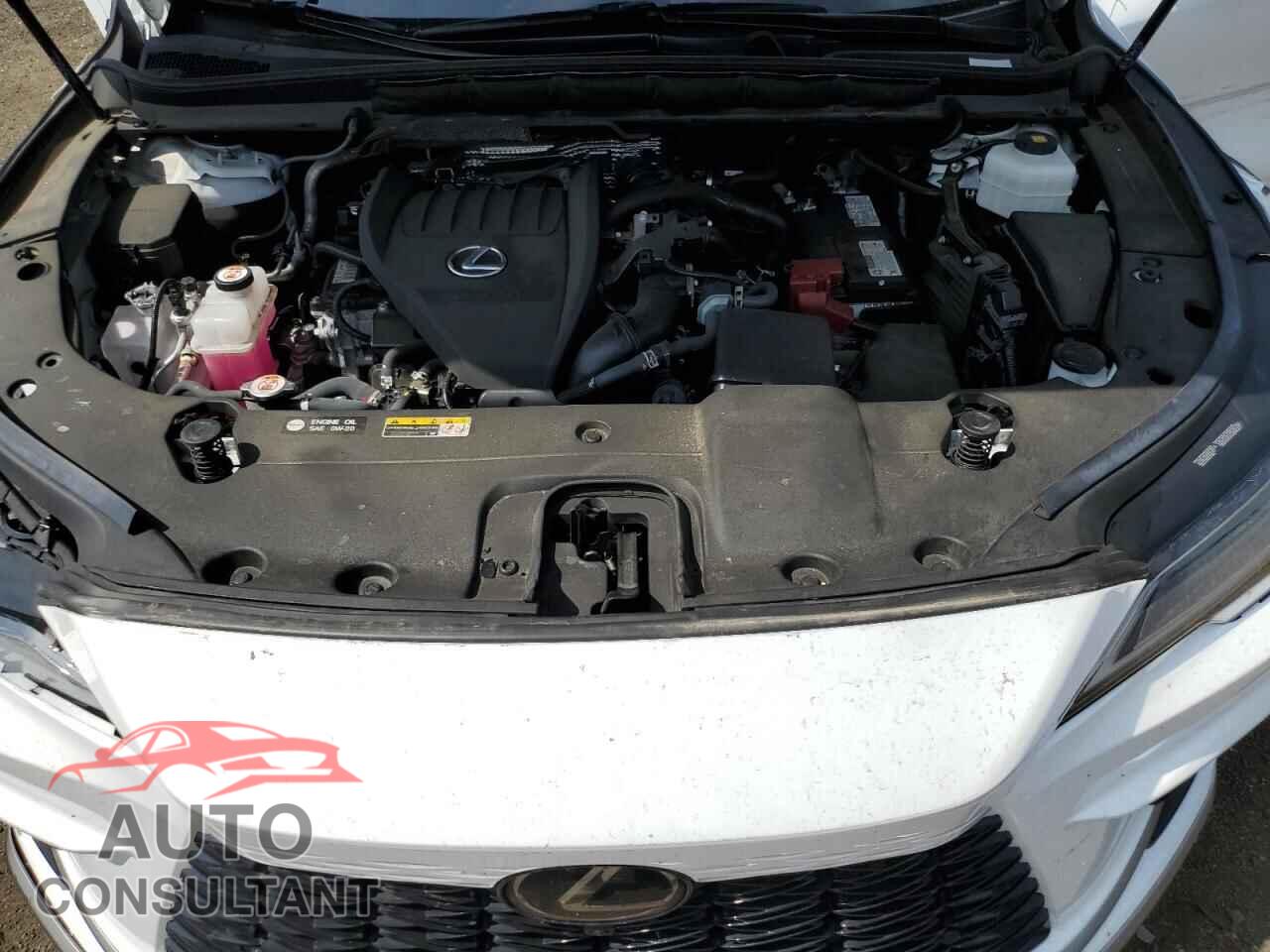 LEXUS RX350 2023 - 2T2BAMCA4PC037761