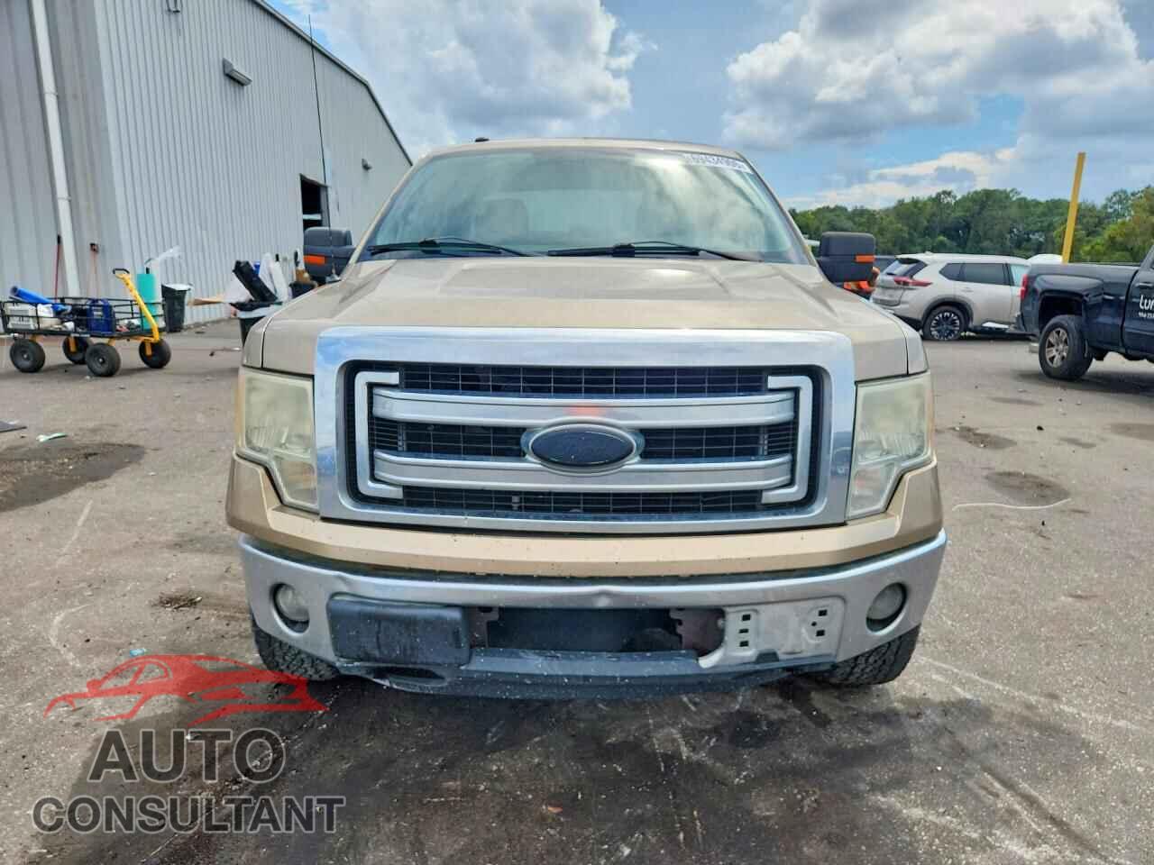FORD F150 2013 - 1FTFX1EF7DFA51118