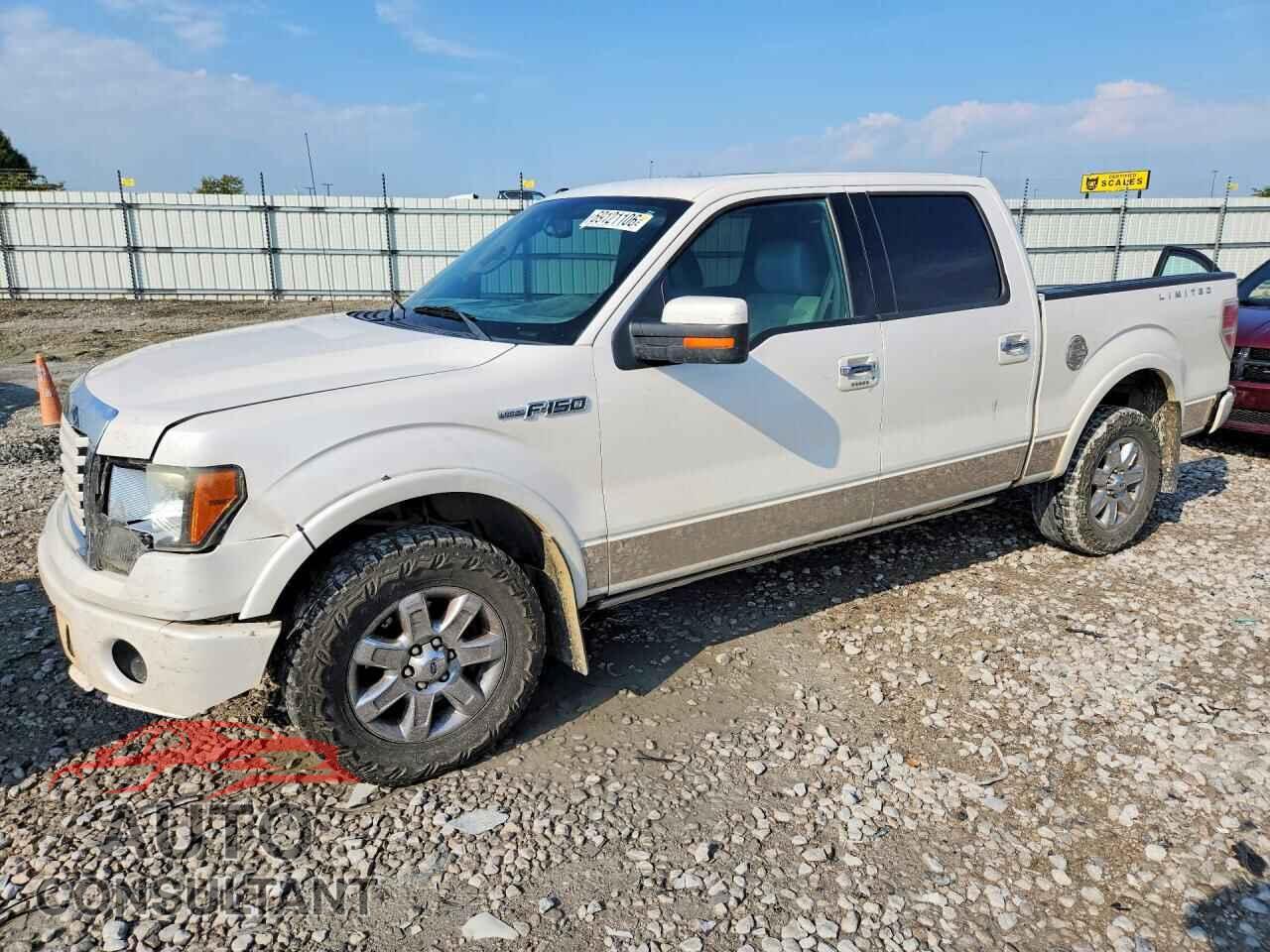 FORD F150 2011 - 1FTFW1E68BFA89649