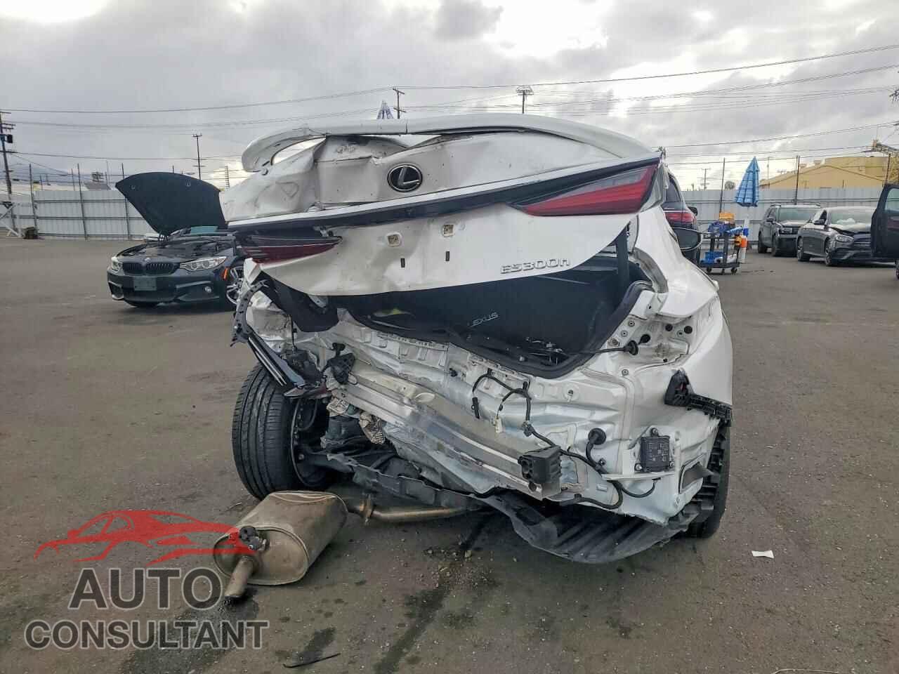 LEXUS ES300 2025 - 58ADA1C13SU067264