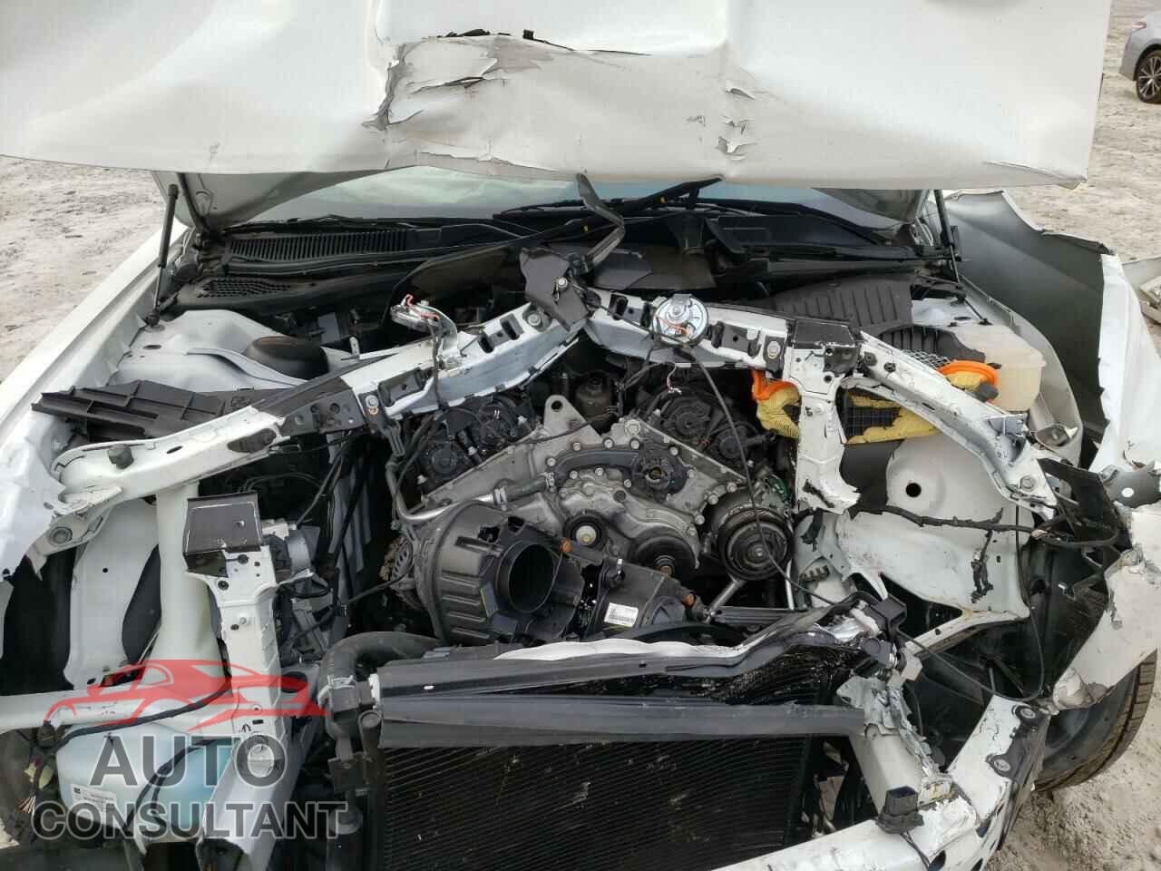 DODGE CHALLENGER 2019 - 2C3CDZAG6KH659737