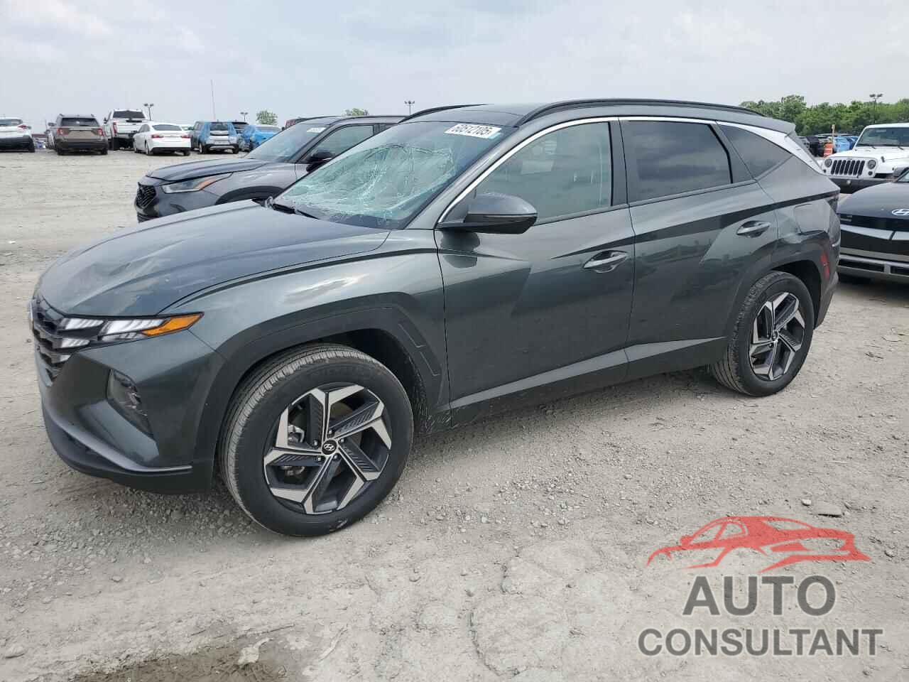 HYUNDAI TUCSON 2024 - KM8JCCD15RU241408