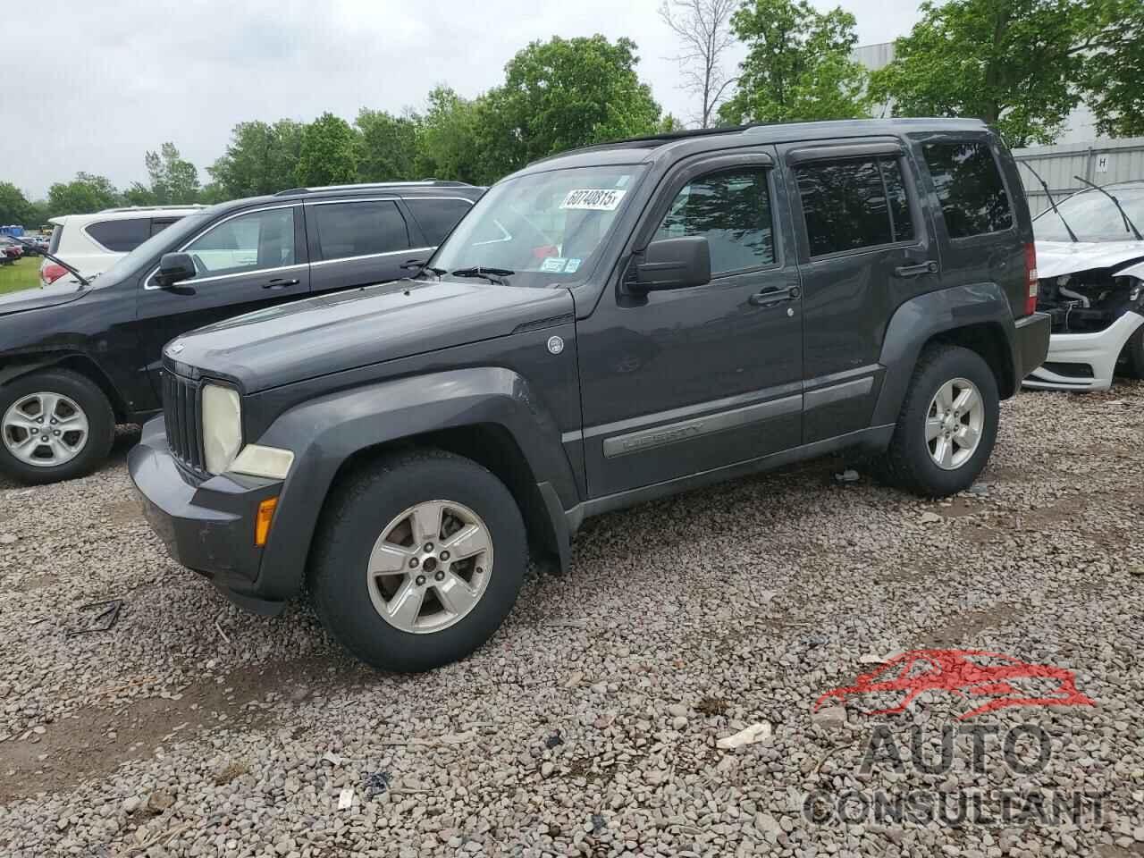 JEEP LIBERTY 2011 - 1J4PN2GK5BW546757
