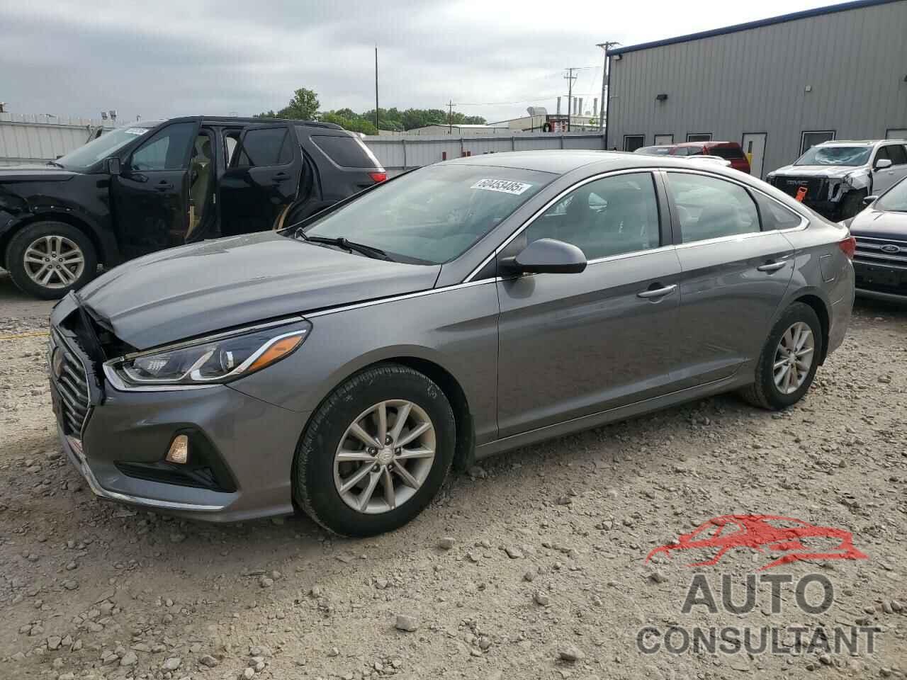 HYUNDAI SONATA 2019 - 5NPE24AF2KH815638