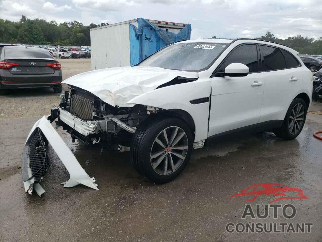 JAGUAR F-PACE 2019 - SADCK2FX6KA366862