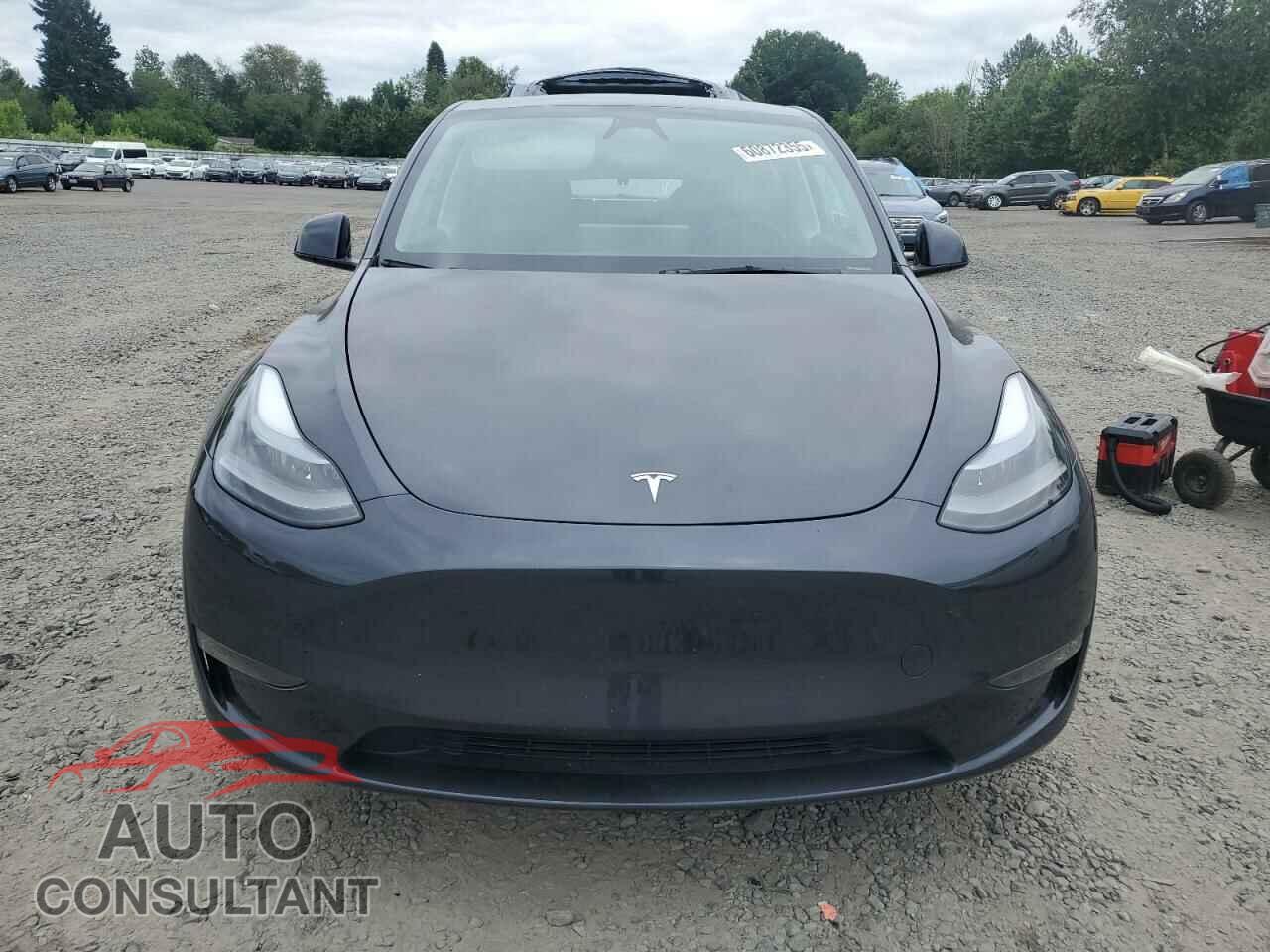 TESLA MODEL Y 2024 - 7SAYGDEEXRF071640