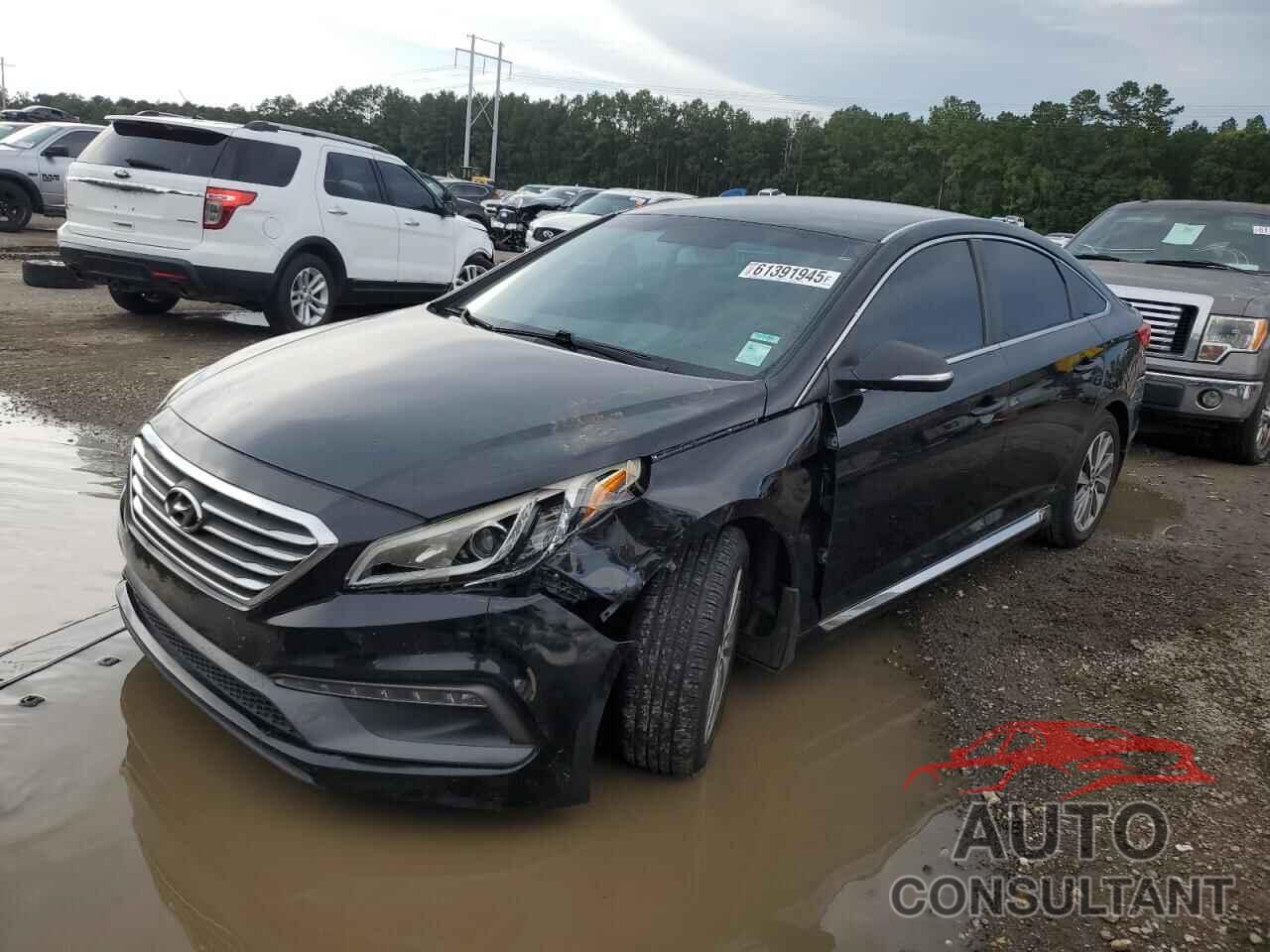 HYUNDAI SONATA 2015 - 5NPE34AF6FH227311