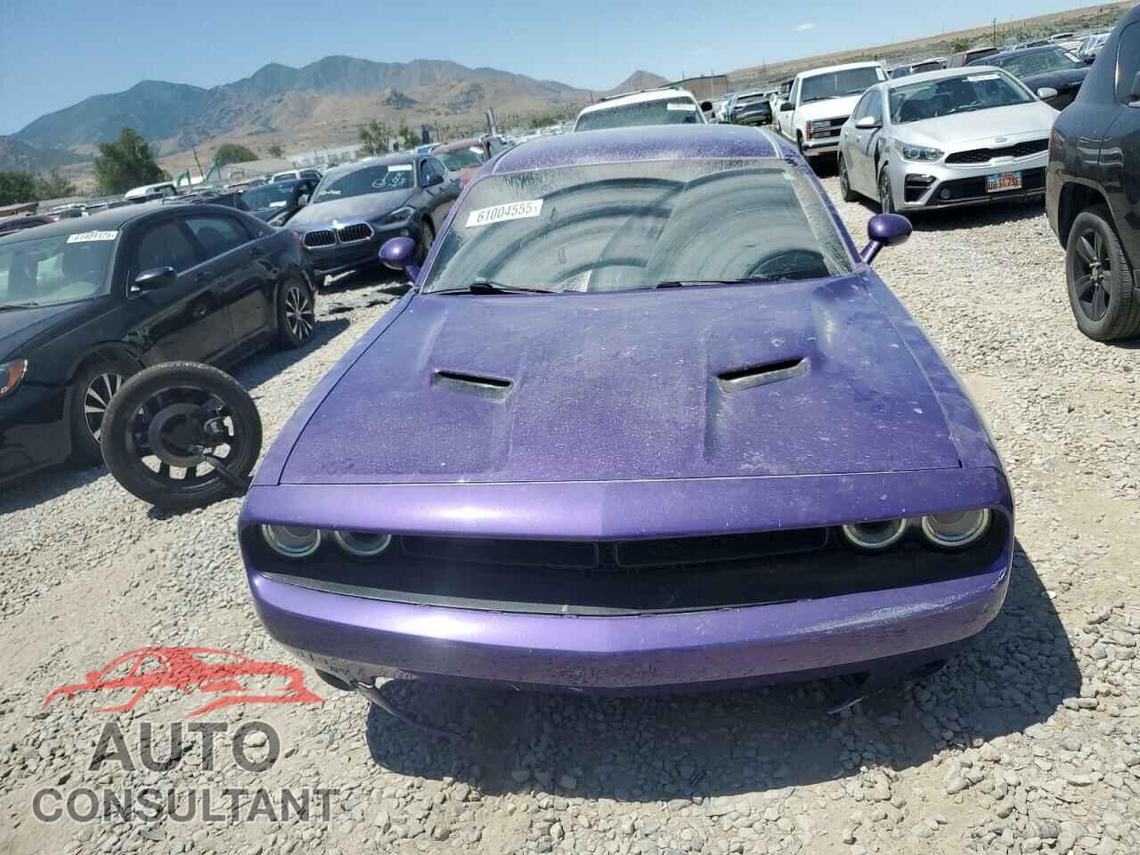 DODGE CHALLENGER 2019 - 2C3CDZAG7KH592954