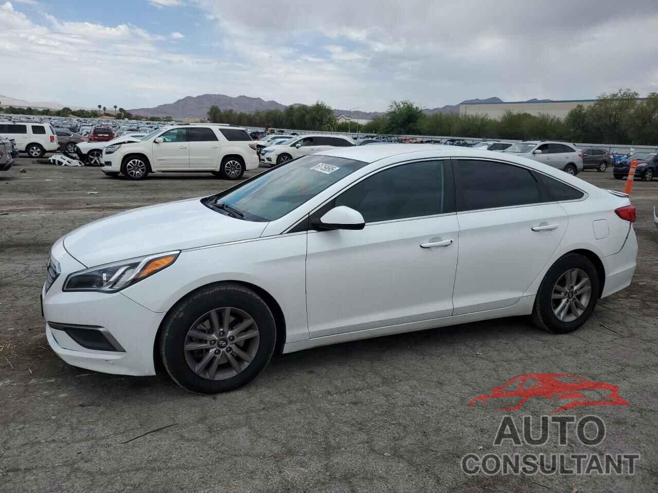HYUNDAI SONATA 2016 - 5NPE24AF4GH356832