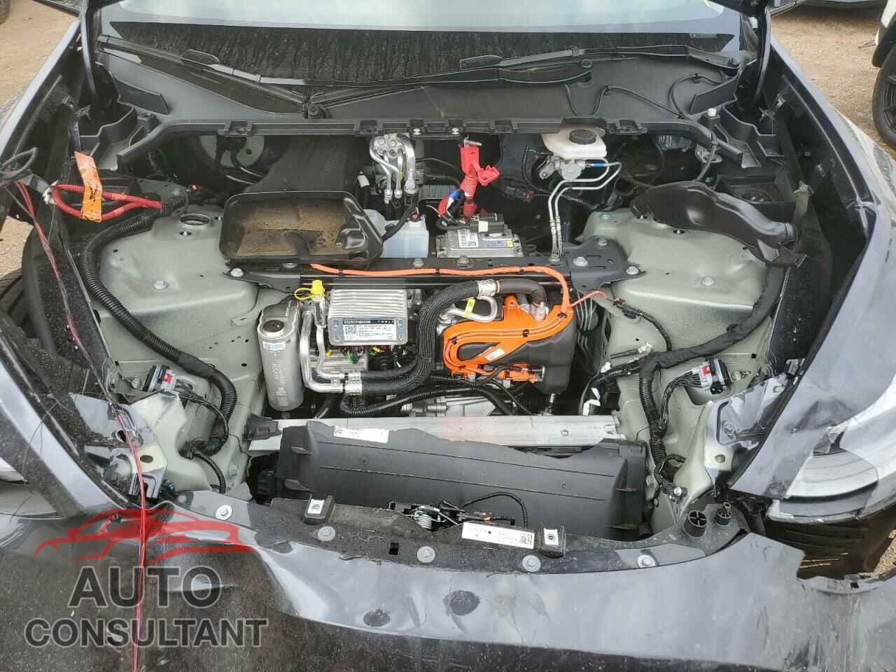 TESLA MODEL Y 2024 - 7SAYGDEE9RA285273