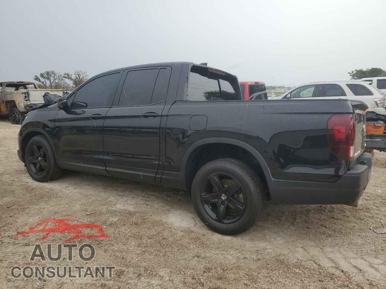 HONDA RIDGELINE 2021 - 5FPYK3F81MB010479