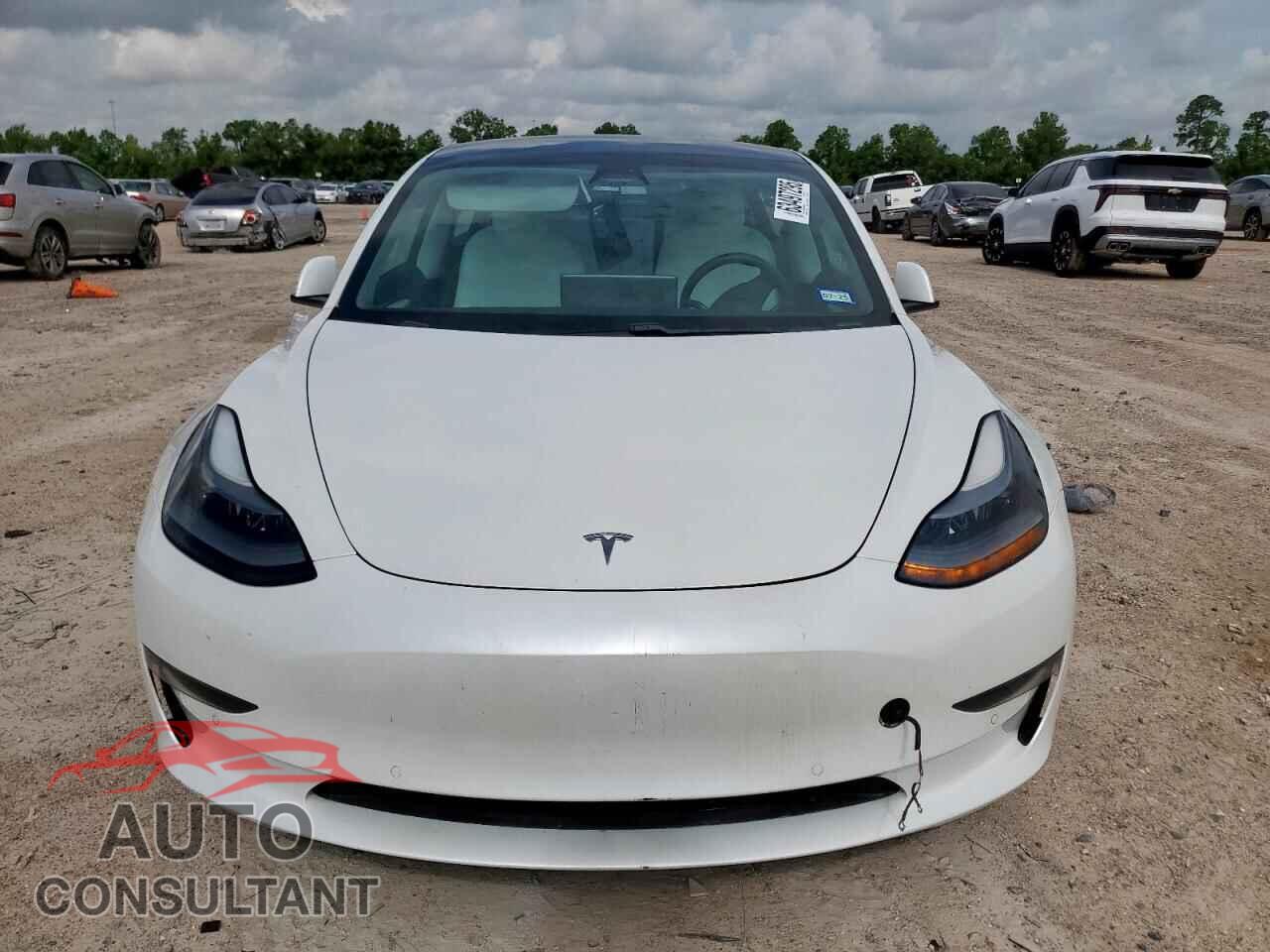 TESLA MODEL 3 2021 - 5YJ3E1EA3MF973161