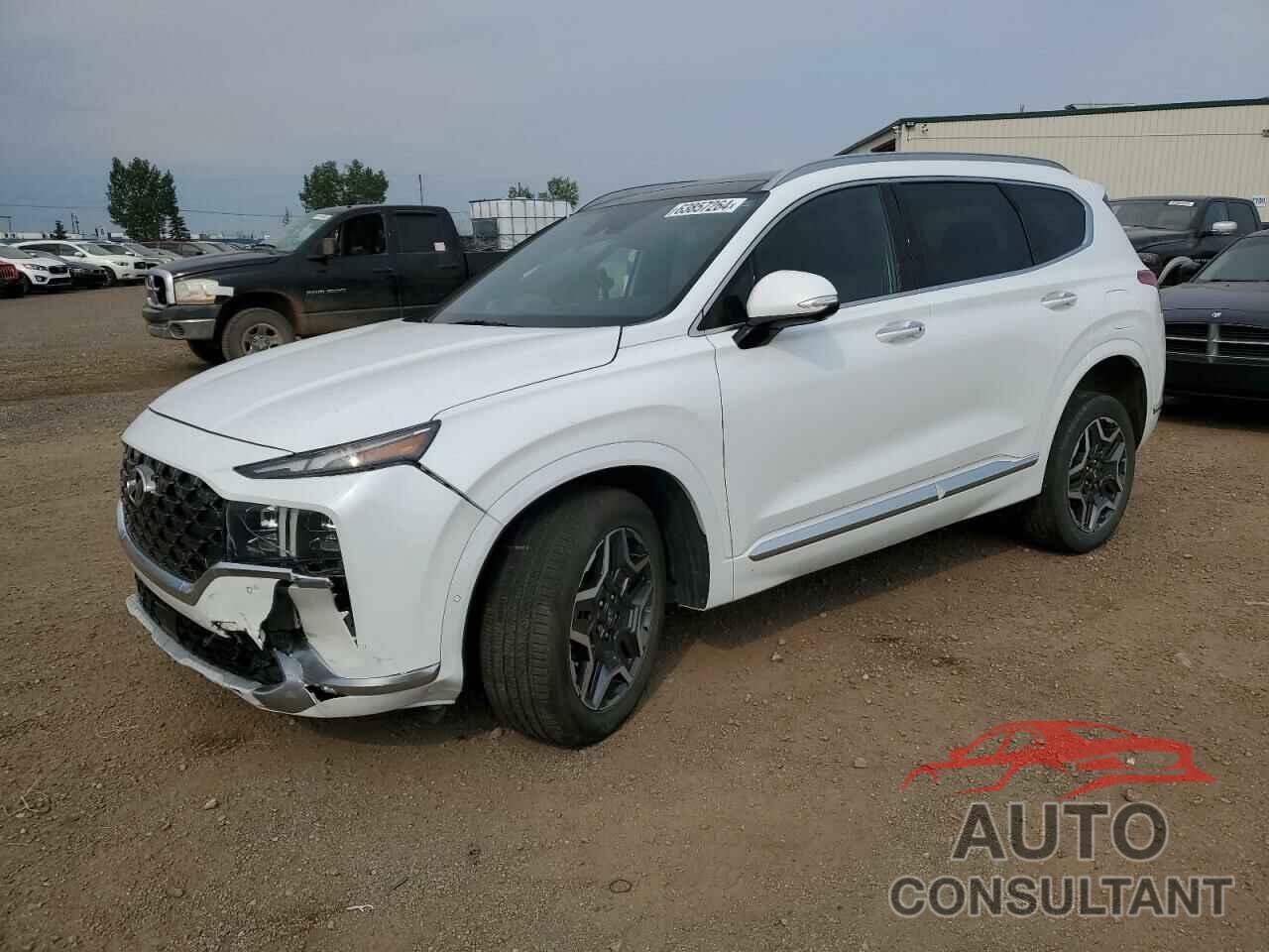 HYUNDAI SANTA FE 2021 - 5NMS5DAL3MH326889