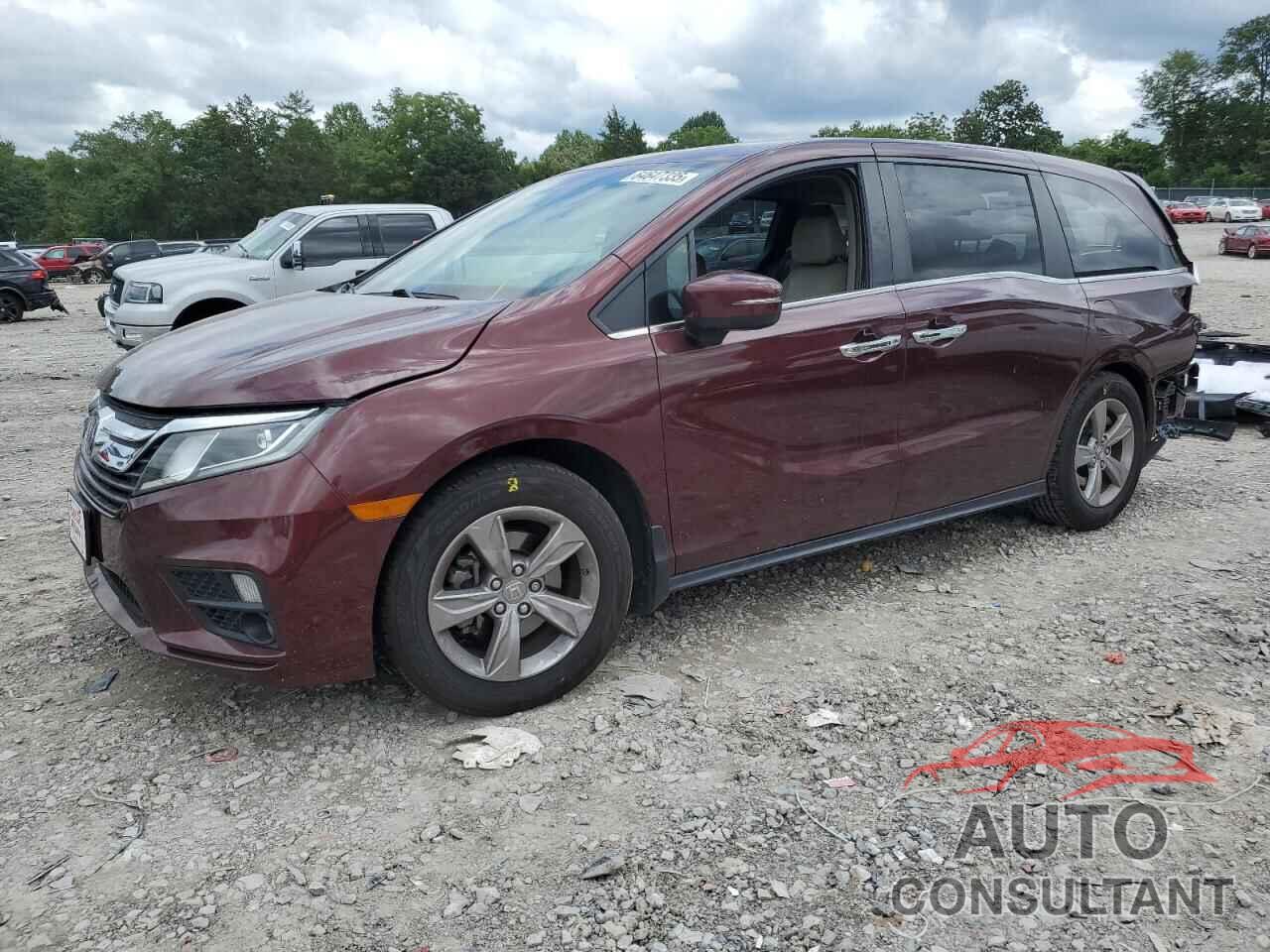 HONDA All Models 2020 - 5FNRL6H7XLB025741