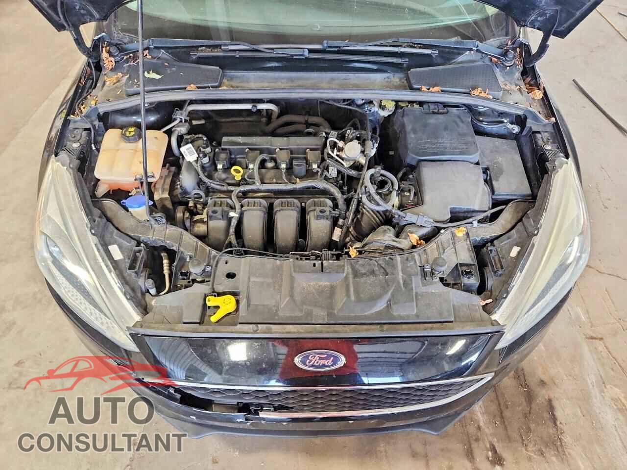 FORD FOCUS 2016 - 1FADP3F28GL282216