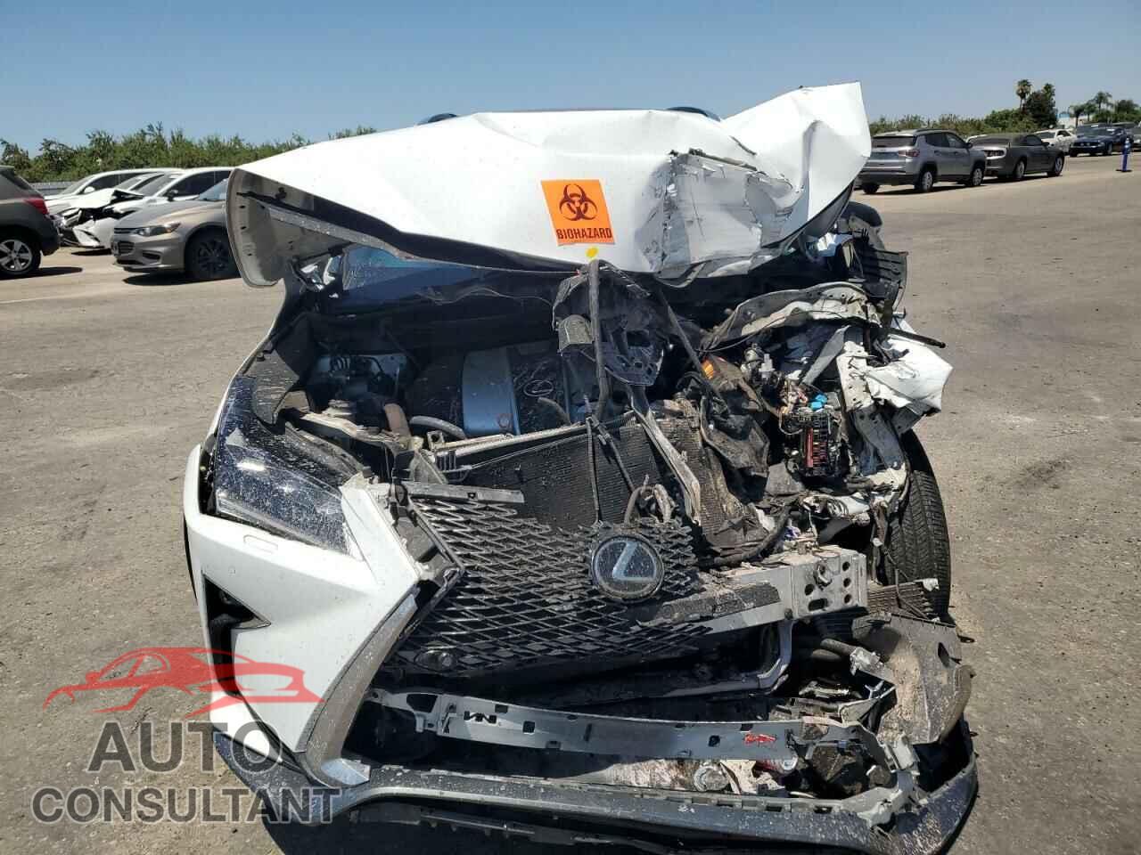 LEXUS RX350 2019 - 2T2BZMCA0KC169546