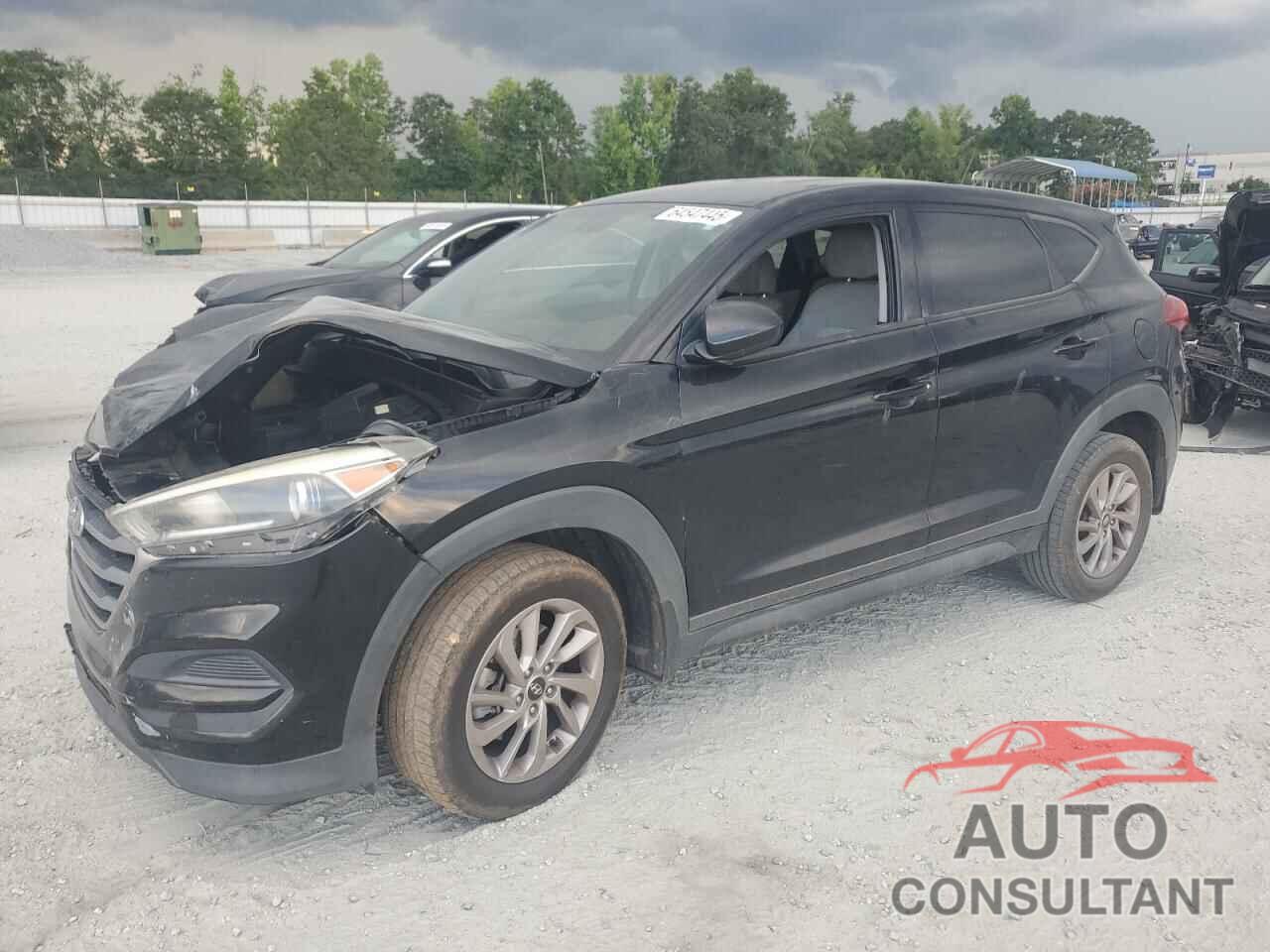 HYUNDAI TUCSON 2017 - KM8J23A46HU262302