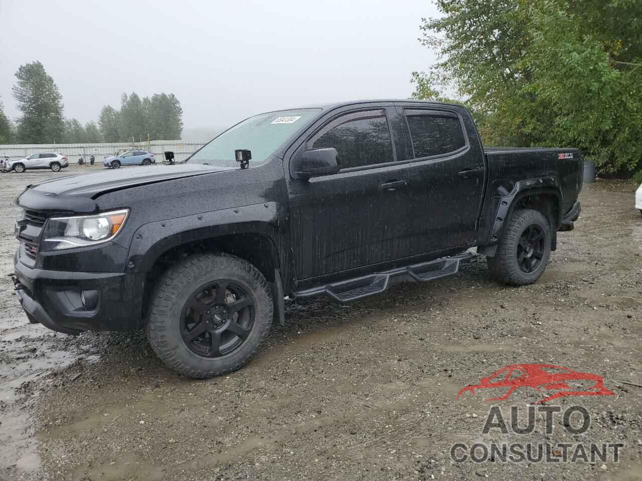 CHEVROLET COLORADO 2019 - 1GCGTDEN1K1109775