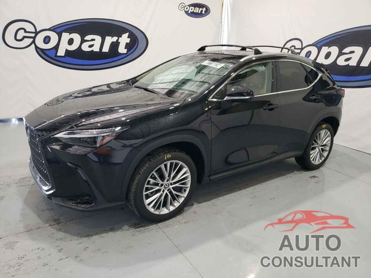 LEXUS NX 350H BA 2024 - 2T2HKCEZ1RC031195