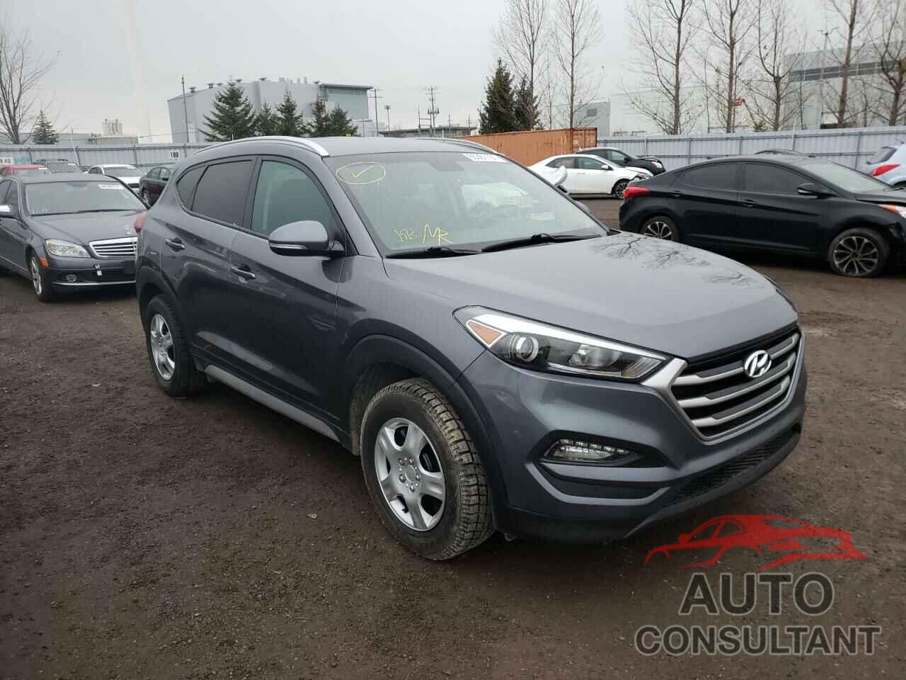 HYUNDAI TUCSON 2017 - KM8J3CA41HU446172
