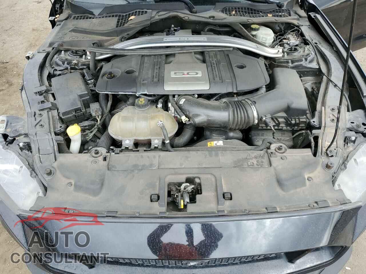 FORD MUSTANG 2018 - 1FA6P8CF9J5117252