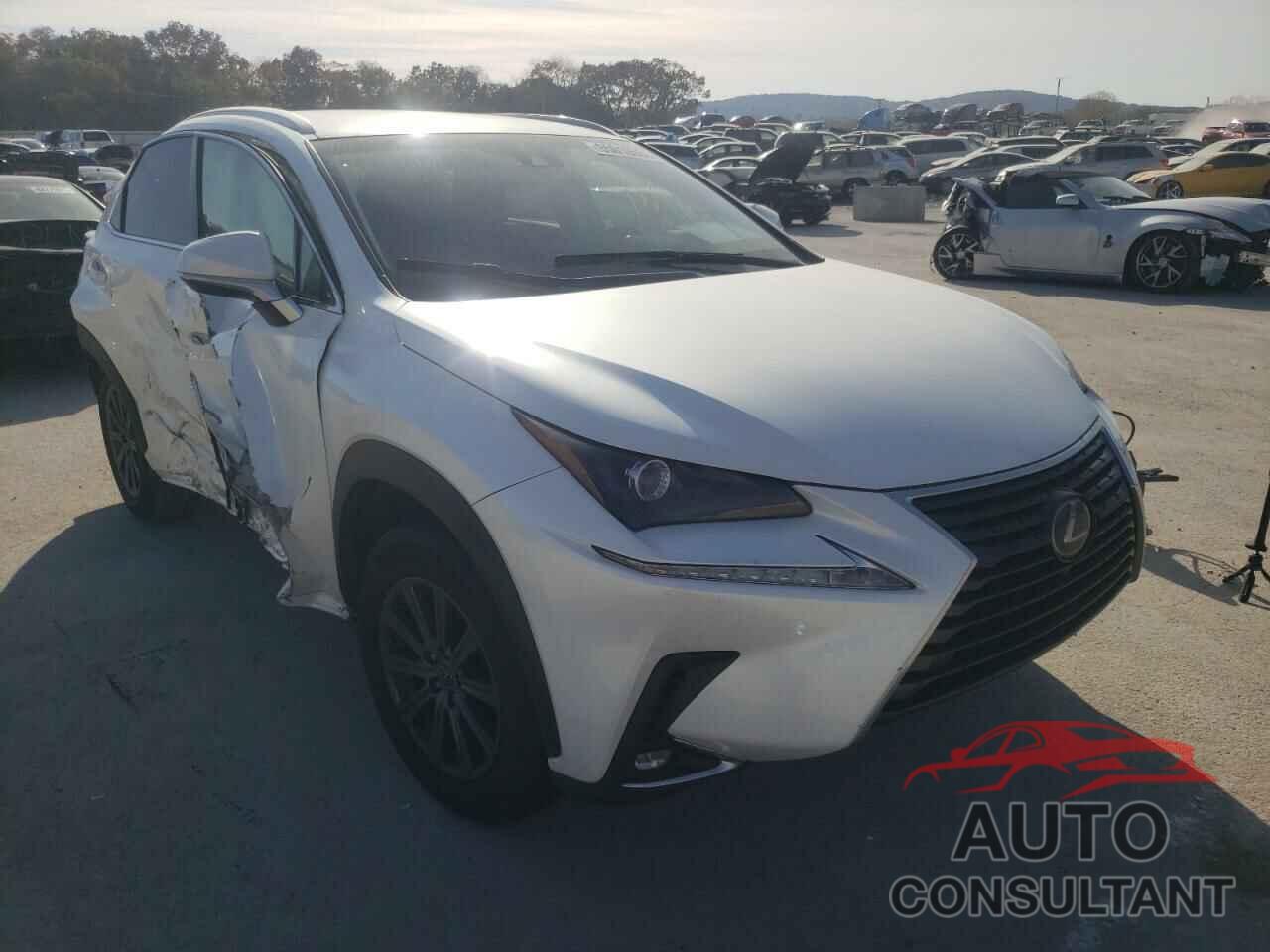 LEXUS NX 2019 - JTJYARBZ5K2118033