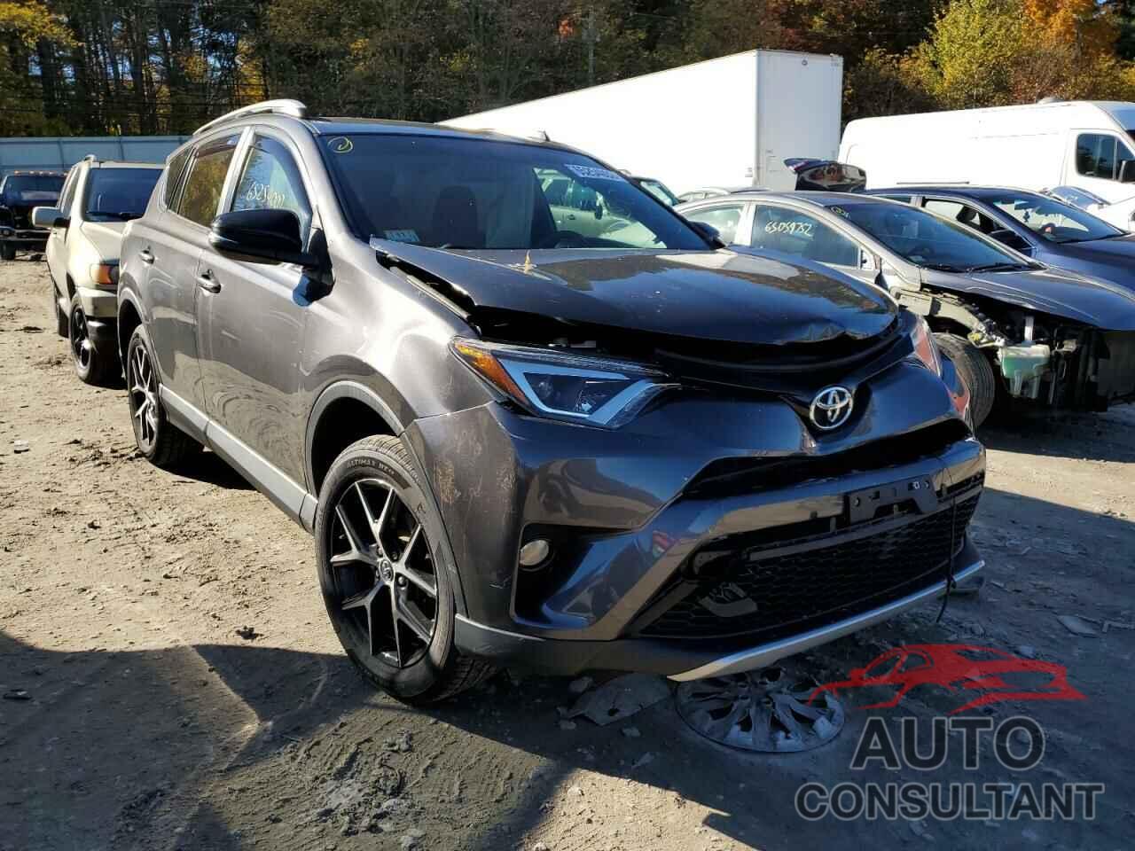 TOYOTA RAV4 2016 - 2T3JFREV3GW508366