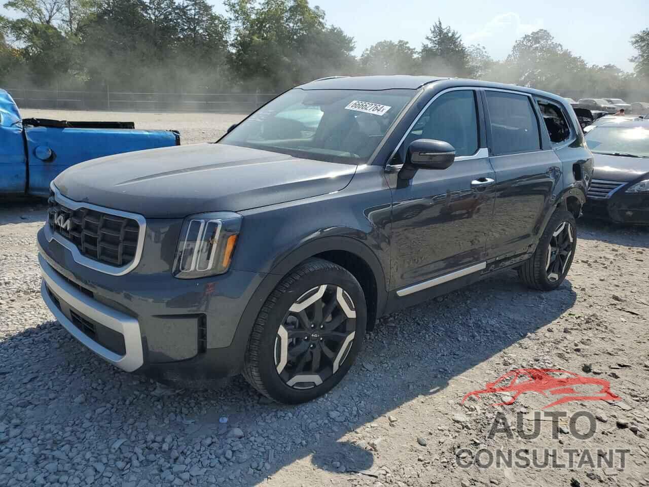 KIA TELLURIDE 2024 - 5XYP6DGC0RG514894