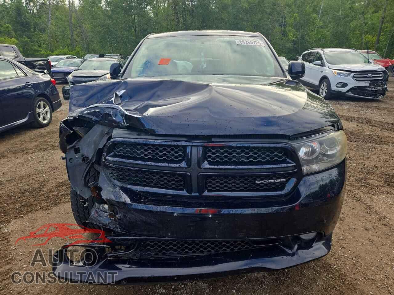 DODGE DURANGO 2011 - 1D4SE6GT4BC699439