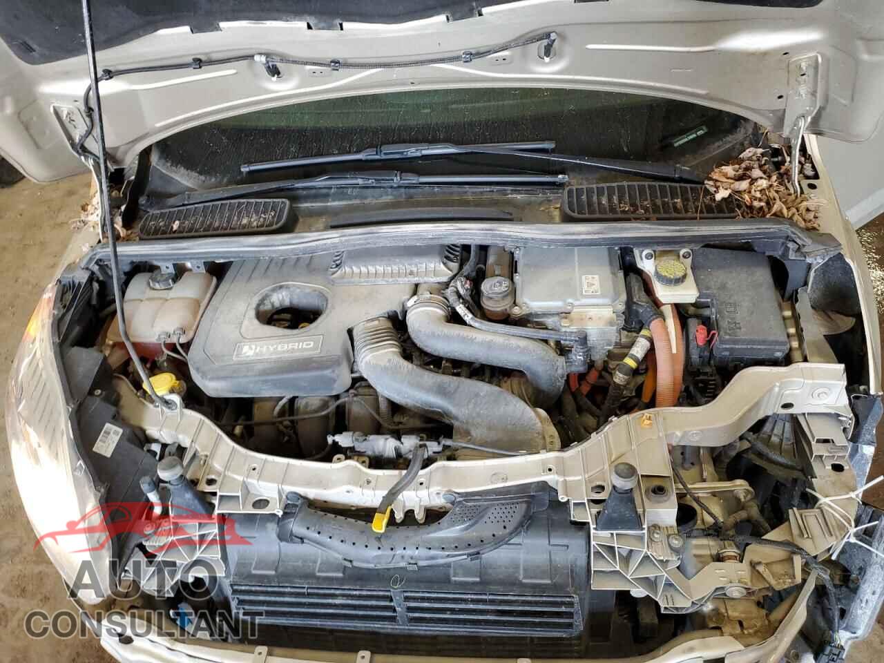 FORD CMAX 2017 - 1FADP5DU5HL100036