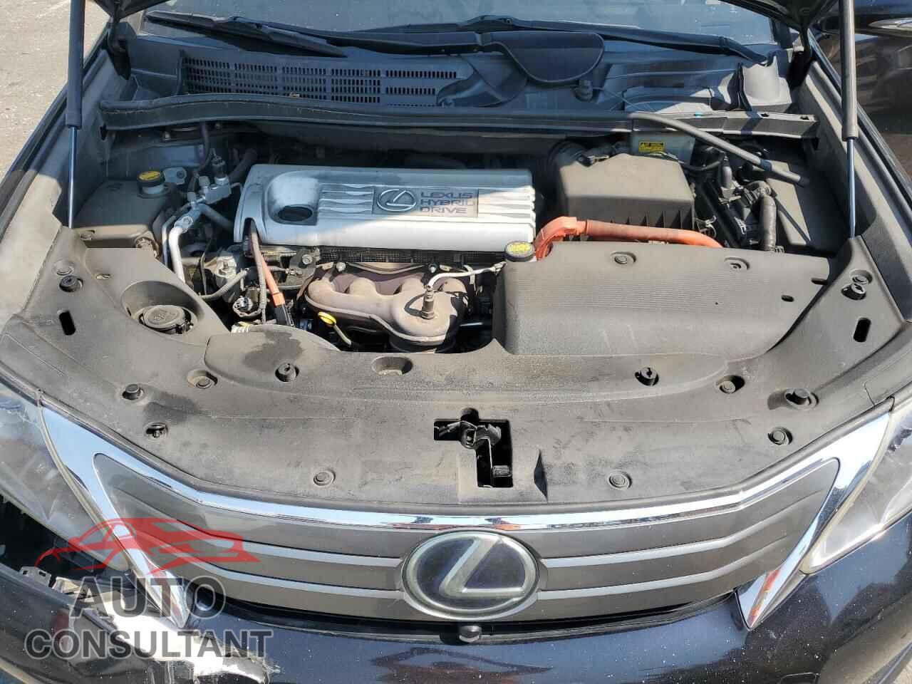 LEXUS HS 2010 - JTHBB1BA4A2013725