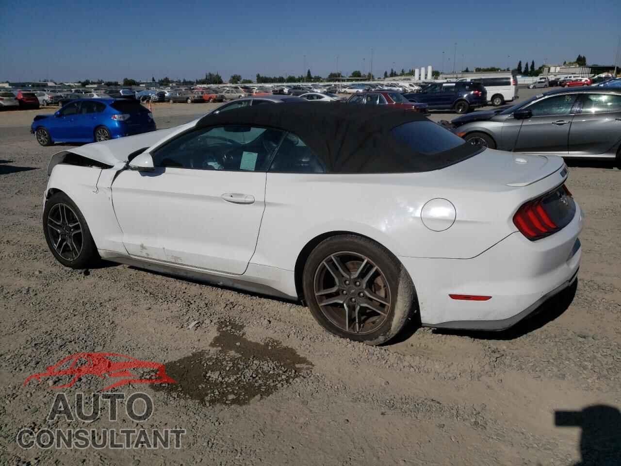 FORD ALL Models 2019 - 1FATP8UH5K5126261