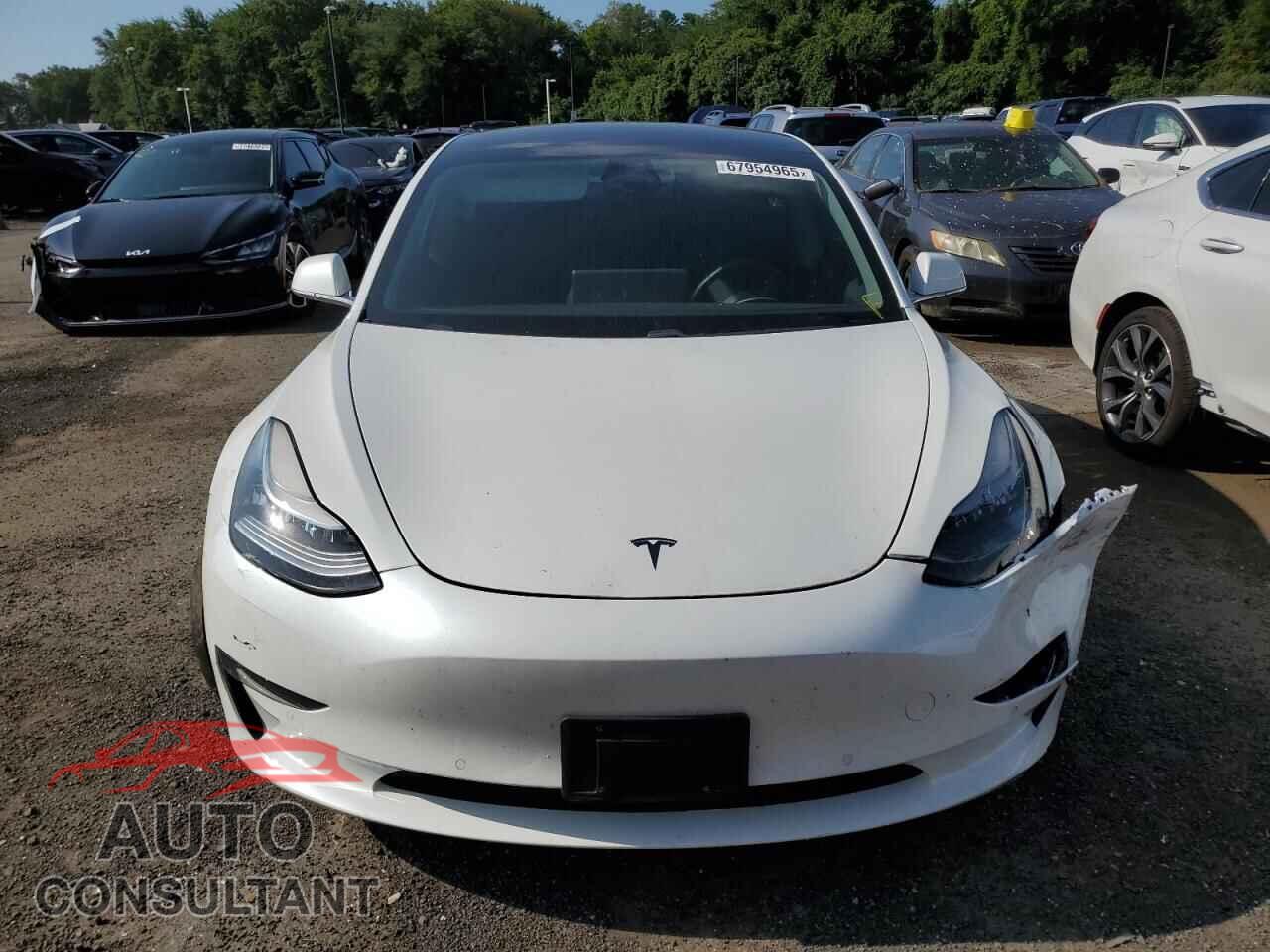 TESLA MODEL 3 2019 - 5YJ3E1EBXKF389961