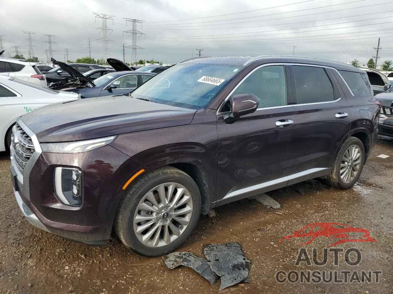 HYUNDAI PALISADE 2020 - KM8R5DHE9LU138287