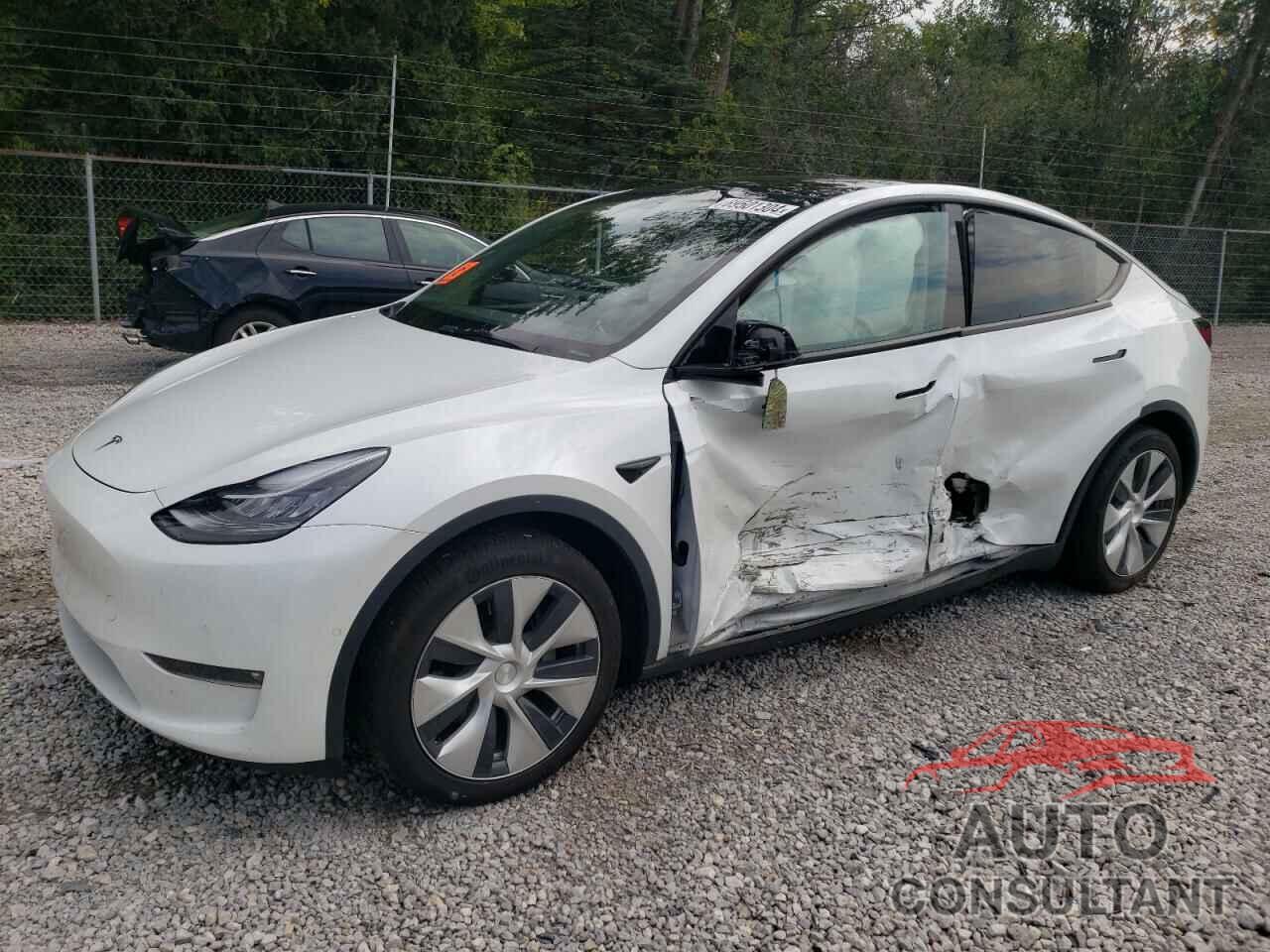 TESLA MODEL Y 2021 - 5YJYGDEE9MF203695