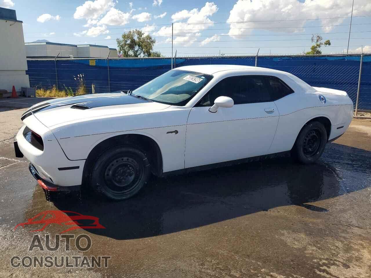 DODGE CHALLENGER 2019 - 2C3CDZAG8KH593854