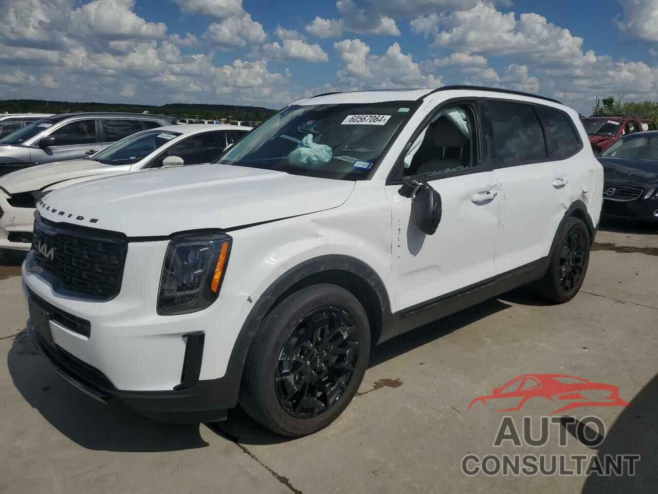 KIA TELLURIDE 2022 - 5XYP3DHC3NG245159