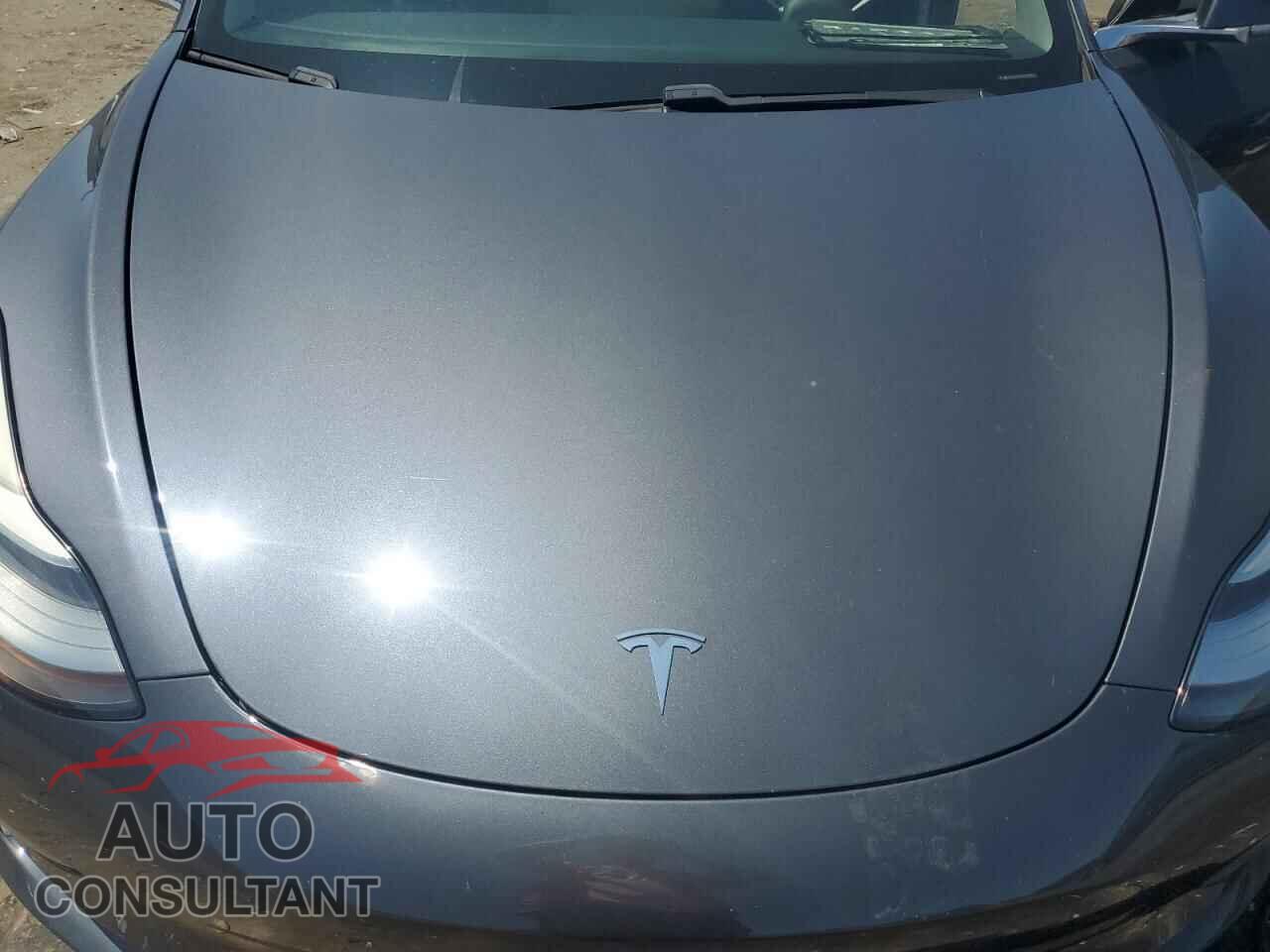 TESLA MODEL 3 2019 - 5YJ3E1EA7KF298654