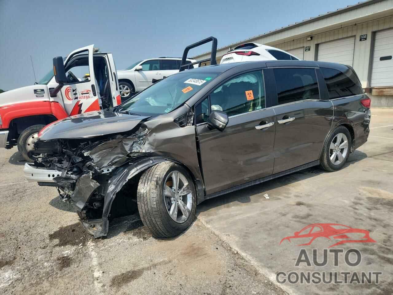 HONDA All Models 2019 - 5FNRL6H71KB034083
